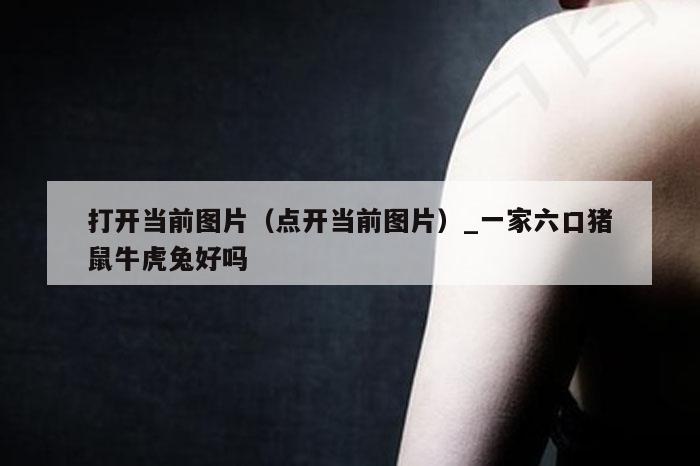 打开当前图片（点开当前图片）_一家六口猪鼠牛虎兔好吗